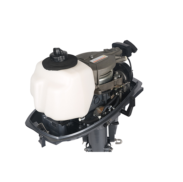 ЛОДОЧНЫЙ МОТОР ALLFA CG T5 в Бердске