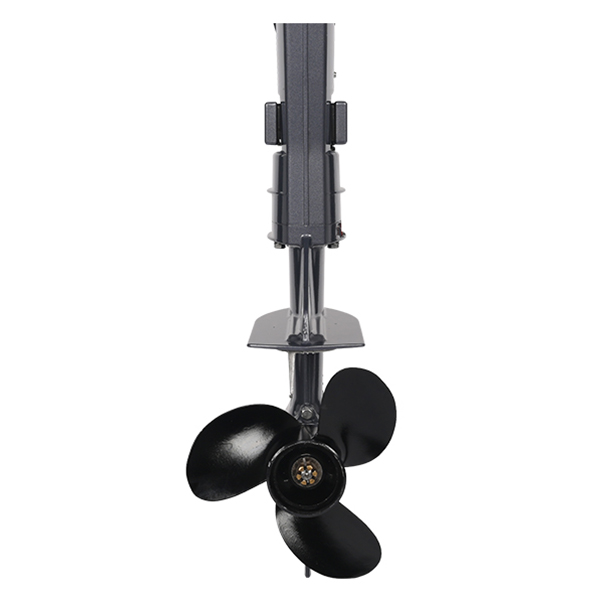 ЛОДОЧНЫЙ МОТОР ALLFA CG T5 в Бердске