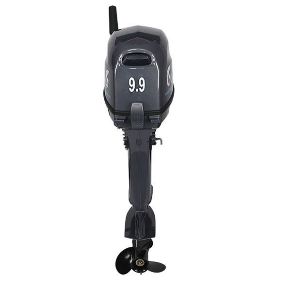 Лодочный мотор ALLFA CG Т9.9(20)MAX в Бердске