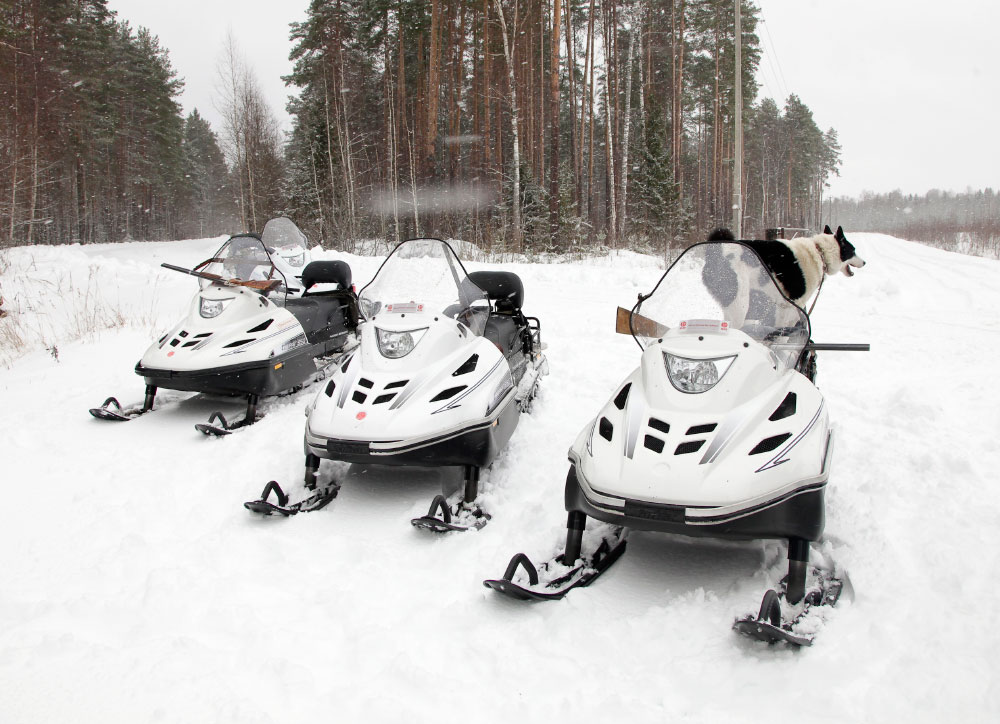 СНЕГОХОД РМ ТАЙГА ВАРЯГ 550 V в Бердске