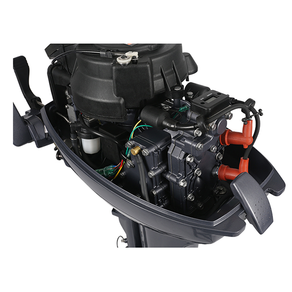 ЛОДОЧНЫЙ МОТОР ALLFA CG Т9,9 Limit в Бердске