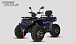 Квадроцикл PROMAX TAURUS 300 MAX-PRO LONG в Бердске