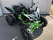 Квадроцикл PROMAX RAPTOR 300 NEW Monster в Бердске