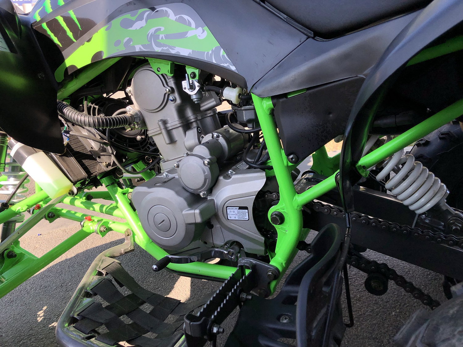 Квадроцикл PROMAX RAPTOR 300 NEW Monster в Бердске