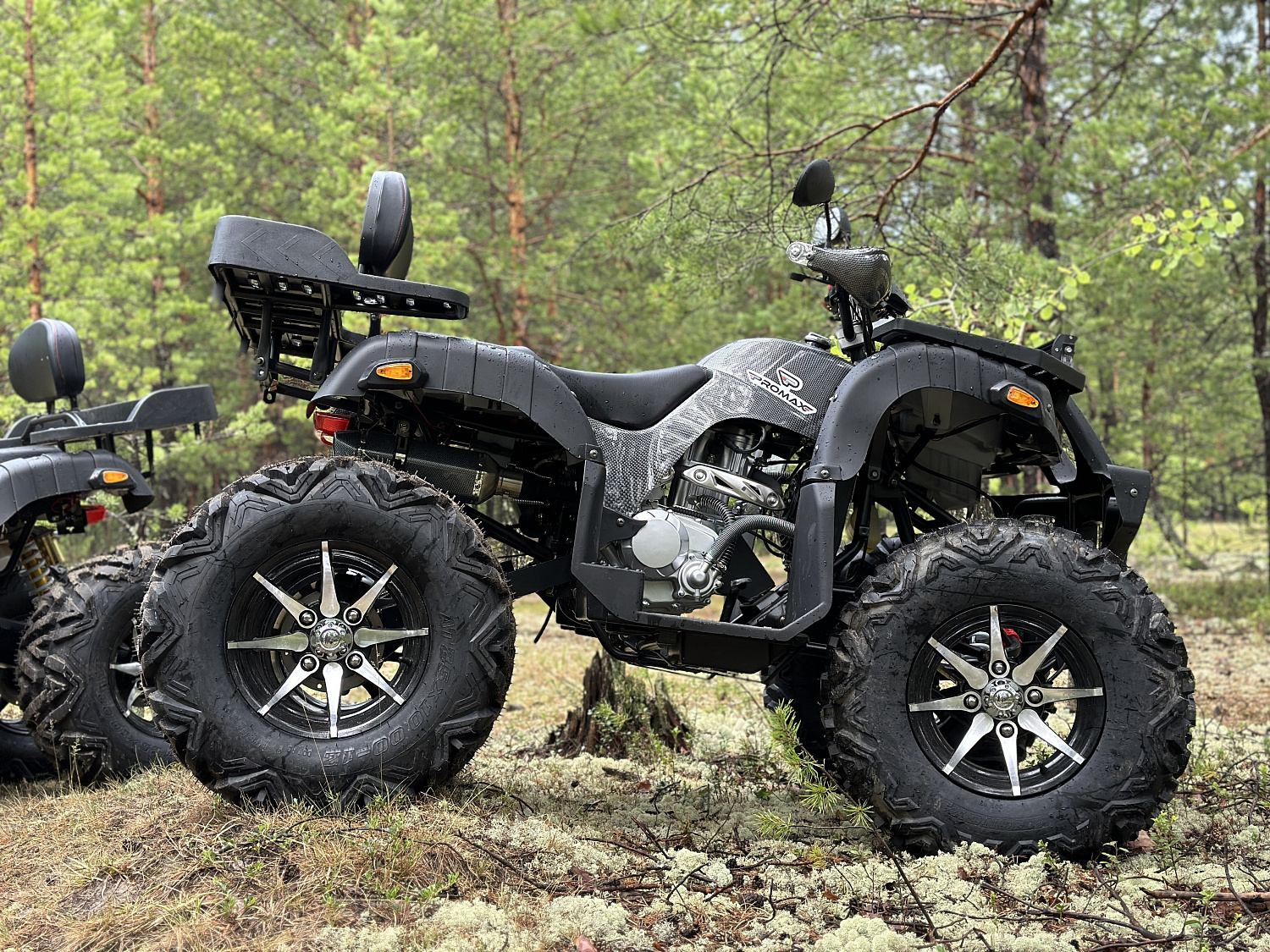 Квадроцикл PROMAX 320 DOMINATOR (2025) в Бердске