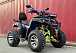  Квадроцикл PROMAX ATV 250 MAX (2025) в Бердске