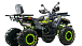 Квадроцикл MOTOLAND (МОТОЛЕНД) VOX200 WILD TRACK X WINCH (баланс. вал) в Бердске