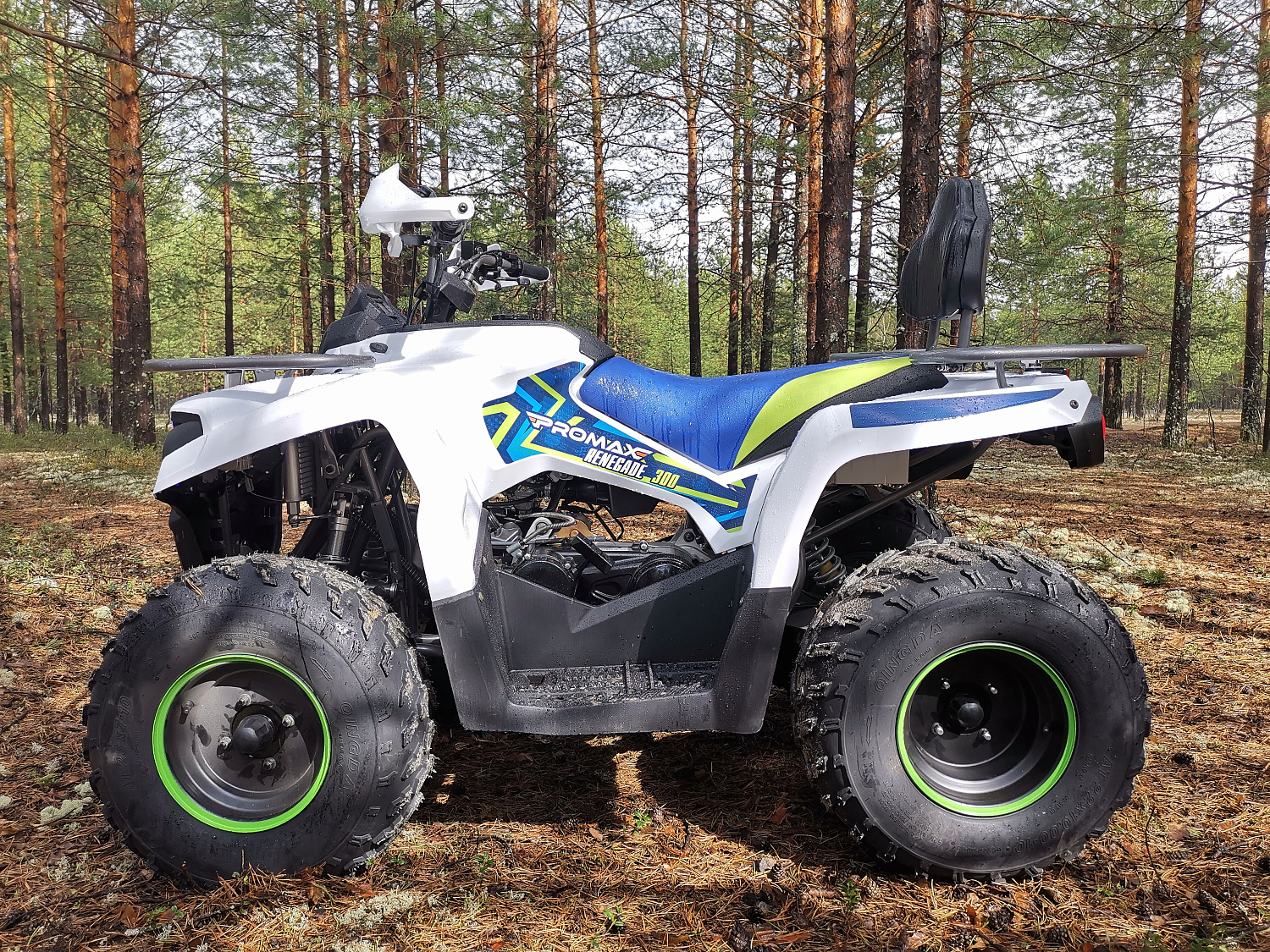 Квадроцикл PROMAX RENEGADE 280 (2025) в Бердске