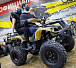 Квадроцикл PROMAX ATV 250 (2025) в Бердске