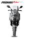 МаксиСкутер PROMAX-HONDA ADV 150 (49) (Inspired by HONDA) в Бердске