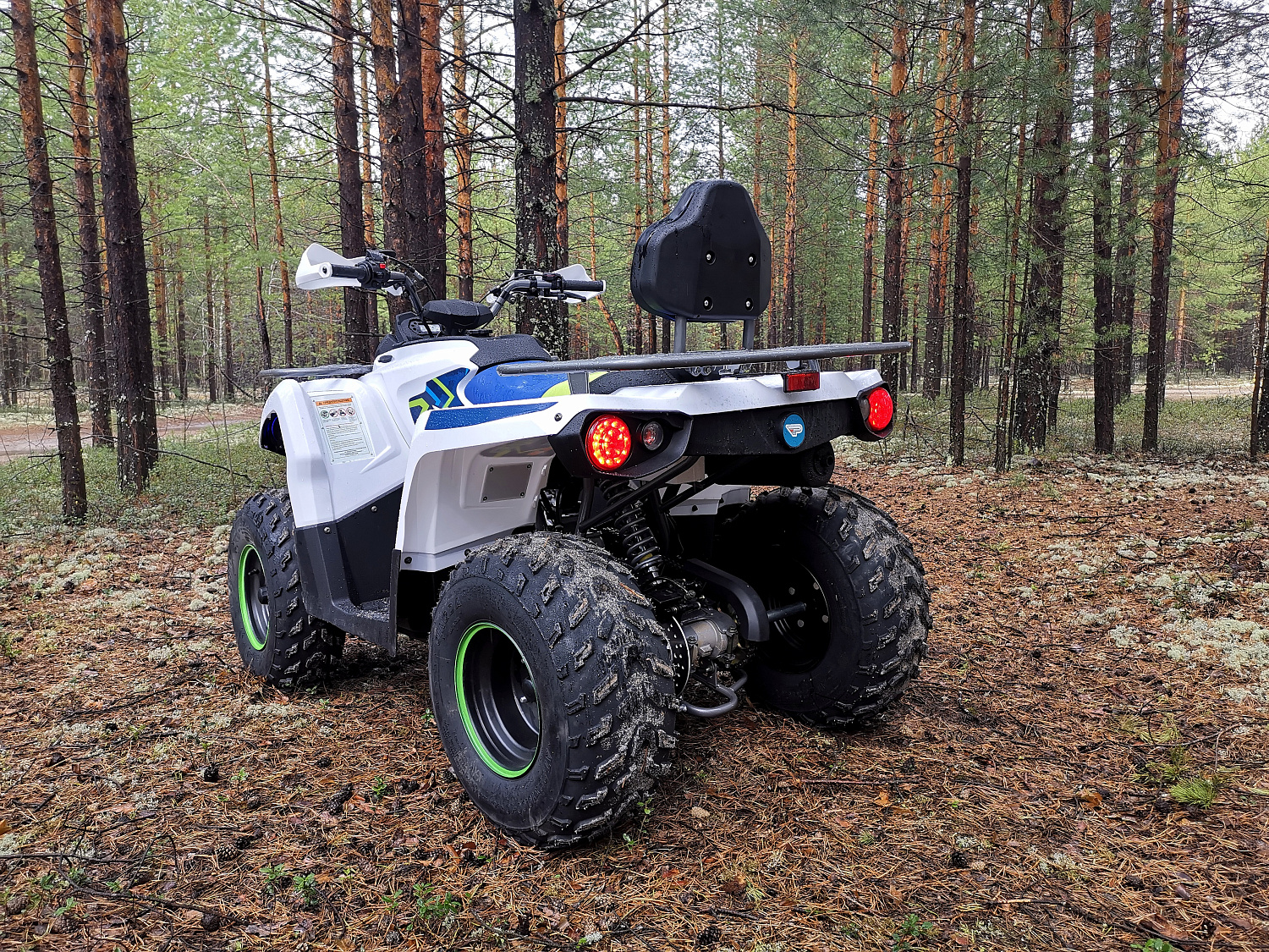 Квадроцикл PROMAX RENEGADE 280 (2025) в Бердске
