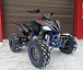 Квадроцикл PROMAX RAPTOR 300 NEW RedBull в Бердске