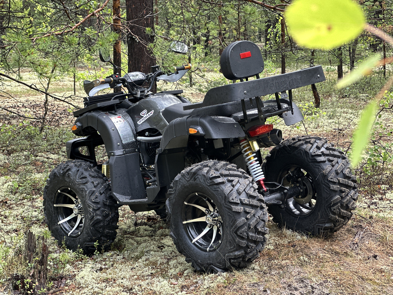 Квадроцикл PROMAX 320 DOMINATOR (2025) в Бердске