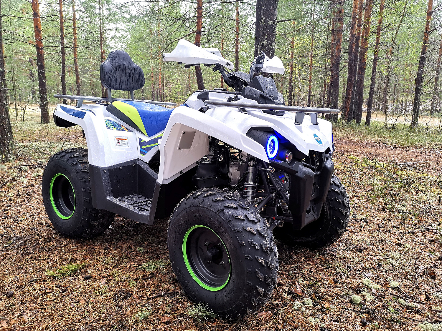 Квадроцикл PROMAX RENEGADE 280 (2025) в Бердске