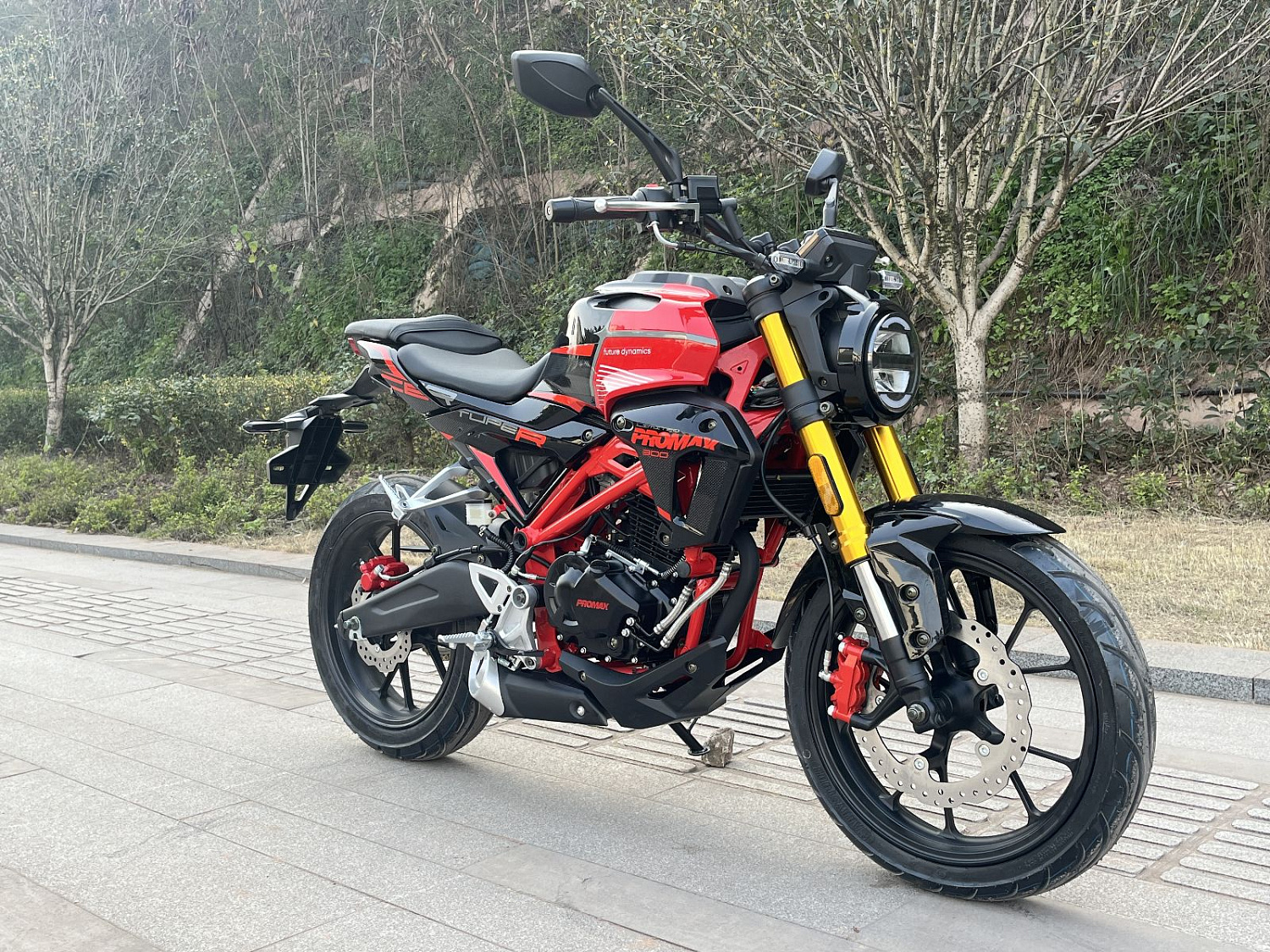 Мотоцикл PROMAX CB300 в Бердске