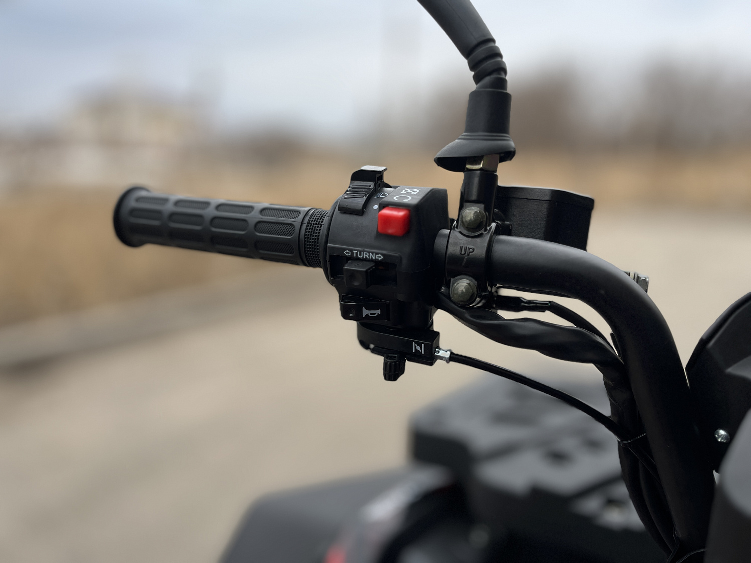 Квадроцикл PROMAX TAURUS 300 MAX-PRO LONG в Бердске