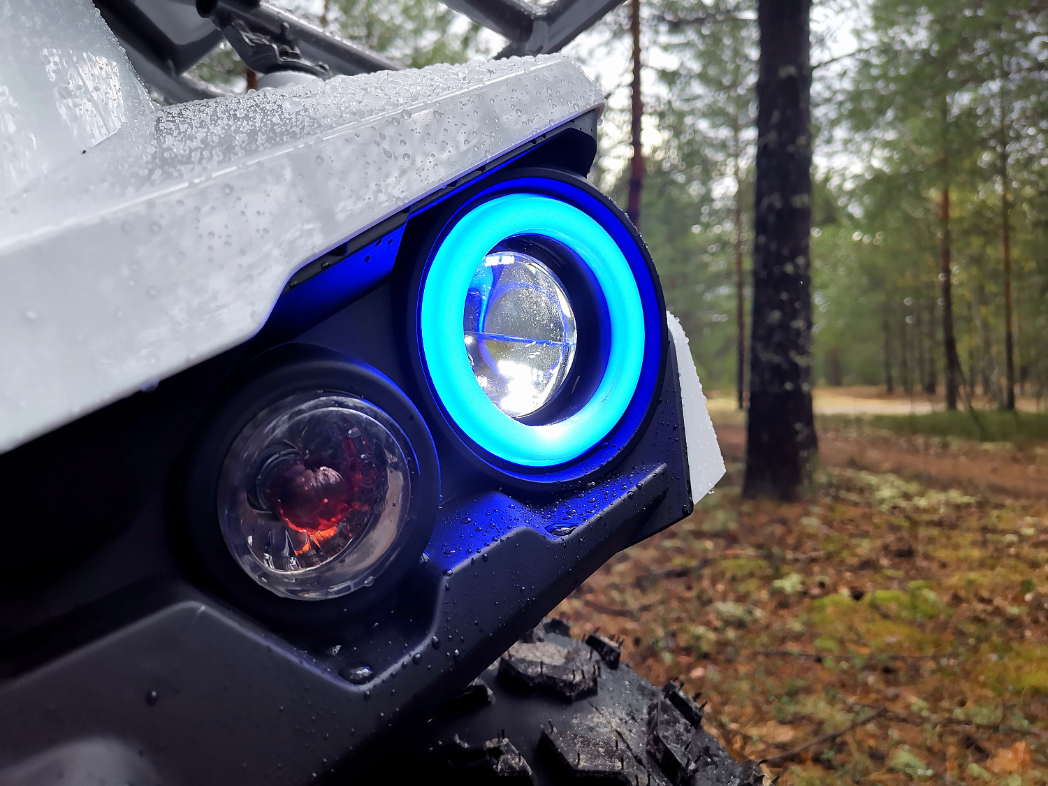 Квадроцикл PROMAX RENEGADE 280 (2025) в Бердске