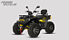 Квадроцикл PROMAX TAURUS 300 MAX-PRO LONG в Бердске